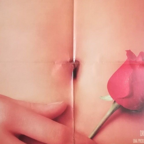 AMERICAN BEAUTY Original Movie Poster 39x55" 2Sh Italian SPACEY BENING - immagine 3