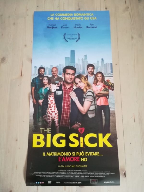 BIG SICK Locandina Film 33x70 Poster Originale Cinema Michael Showalter
