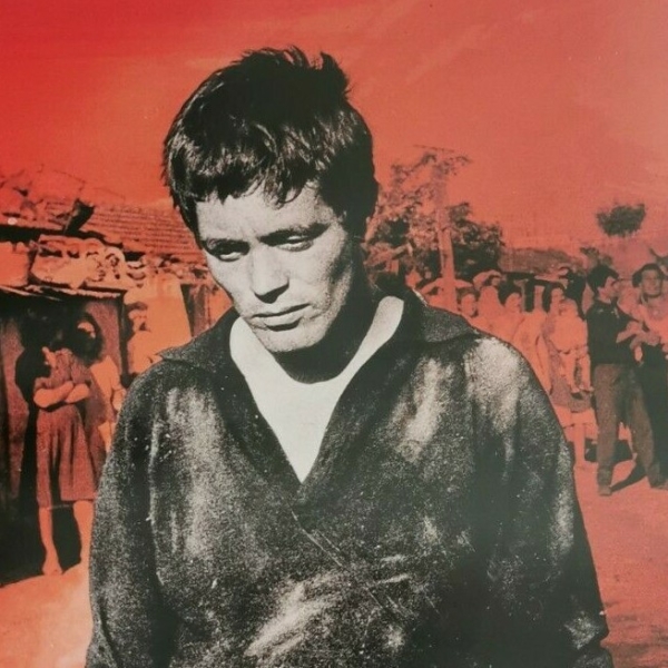 ACCATTONE Original Movie Poster 12x27" Italian PIER PAOLO PASOLINI - immagine 3