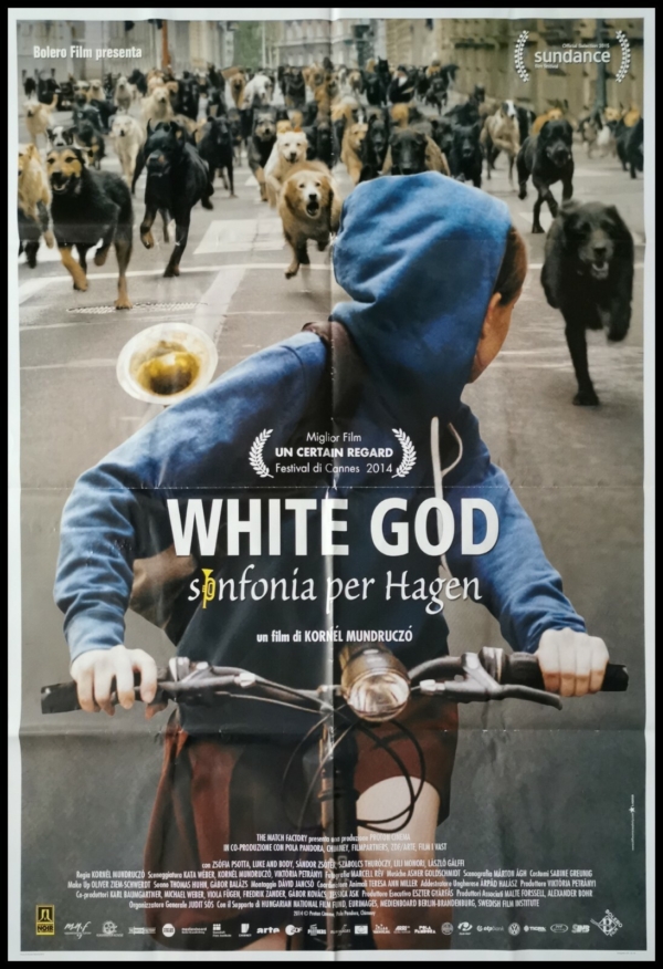 WHITE GOD Manifesto Film 2F Poster Cinema Originale KORNEL MUNDRUCZO