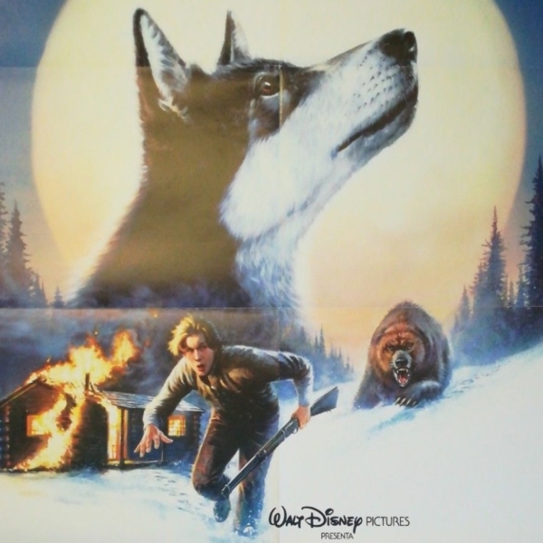 WHITE FANG 1991 Original Movie Poster 39x55" 2Sh Italian WALT DISNEY - immagine 3